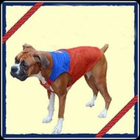 Kitty & The Woof Gang Red Net T-Shirt - Jersey Made of Stretchable and Soft Material with Blue top