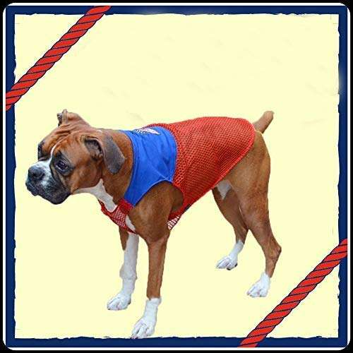 Kitty & The Woof Gang Red Net T-Shirt - Jersey Made of Stretchable and Soft Material with Blue top