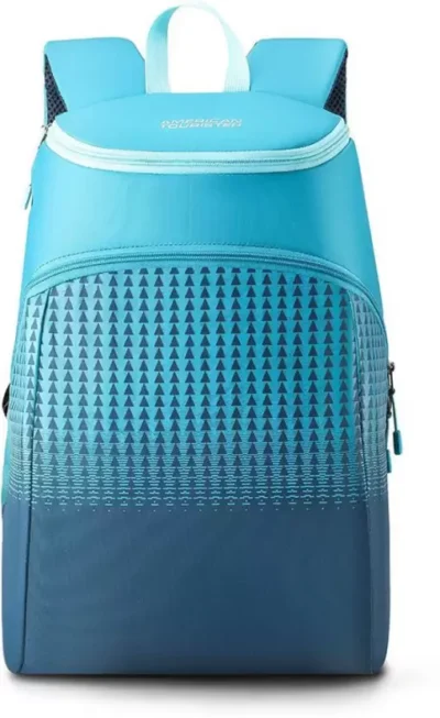 AMERICAN TOURISTER Small 20 L Backpack ACE DAYPACK 02 - BLUE (Blue)